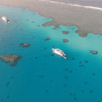 Dolphin House, Marsa Alam
