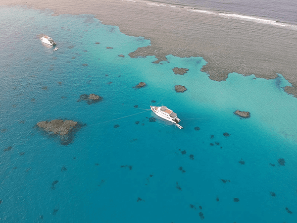 Dolphin House, Marsa Alam