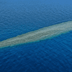 Elphinstone Reef: A Diver's Paradise in the Red Sea