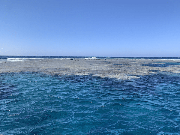 Abu Dabbab 1: Pristine Beach, Dugongs, and Turtles in Marsa Alam