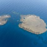 Coral Reef in Abu Dabbab Bay, Marsa Alam