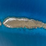 Turtle in Abu Dabbab Bay, Marsa Alam