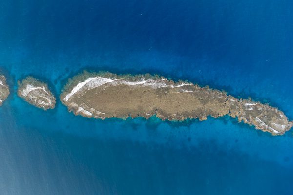Turtle in Abu Dabbab Bay, Marsa Alam