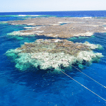 Claudia, a marine biologist studying coral reefs