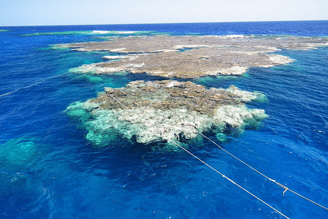 Claudia, a marine biologist studying coral reefs