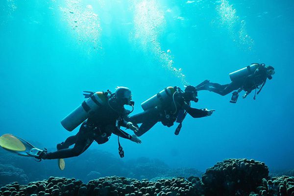 A team of advanced divers follows a guide along a steep, deep wall at St. John's Reef, a highlight of Marsa Alam's Deep South.