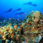 A group of divers and their guide on a dive boat, preparing for an unforgettable diving experience in Marsa Alam.