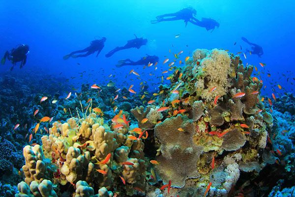 A group of divers and their guide on a dive boat, preparing for an unforgettable diving experience in Marsa Alam.