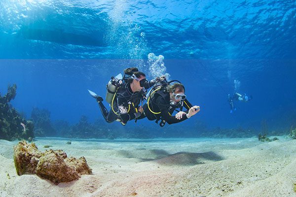 New diver practicing buoyancy over a sandy bottom next to a Green Sea Turtle in Marsa Alam, Red Sea.