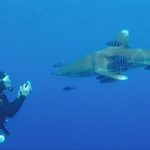 Divers preparing gear on a day boat deck in Port Ghalib, showing the routine for a typical Marsa Alam boat diving day.