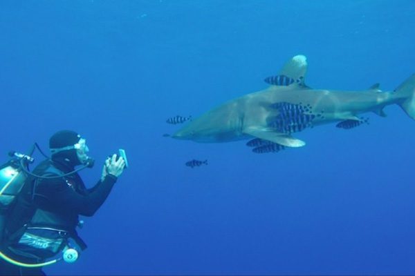 Divers preparing gear on a day boat deck in Port Ghalib, showing the routine for a typical Marsa Alam boat diving day.