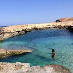 Pristine, colorful soft corals on a deep wall at a Marsa Alam reef, showcasing why the Southern Red Sea is considered the best-kept secret for divers.