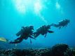 divers-red-sea-dahab-scuba-diving-egypt