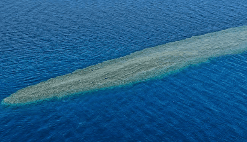 Elphinstone Reef: A Diver's Paradise in the Red Sea