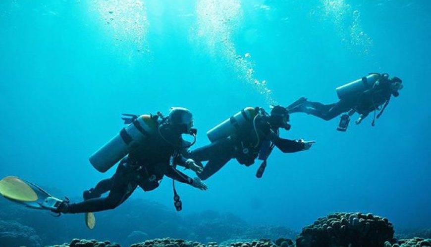A team of advanced divers follows a guide along a steep, deep wall at St. John's Reef, a highlight of Marsa Alam's Deep South.