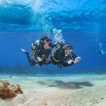 New diver practicing buoyancy over a sandy bottom next to a Green Sea Turtle in Marsa Alam, Red Sea.