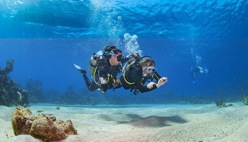 New diver practicing buoyancy over a sandy bottom next to a Green Sea Turtle in Marsa Alam, Red Sea.