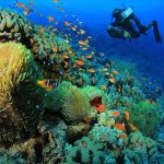 Marsa Alam International Airport (RMF) entrance, illustrating travel options for reaching your Red Sea diving holiday by air, bus, or car.