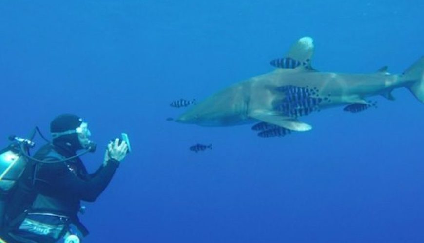 Divers preparing gear on a day boat deck in Port Ghalib, showing the routine for a typical Marsa Alam boat diving day.